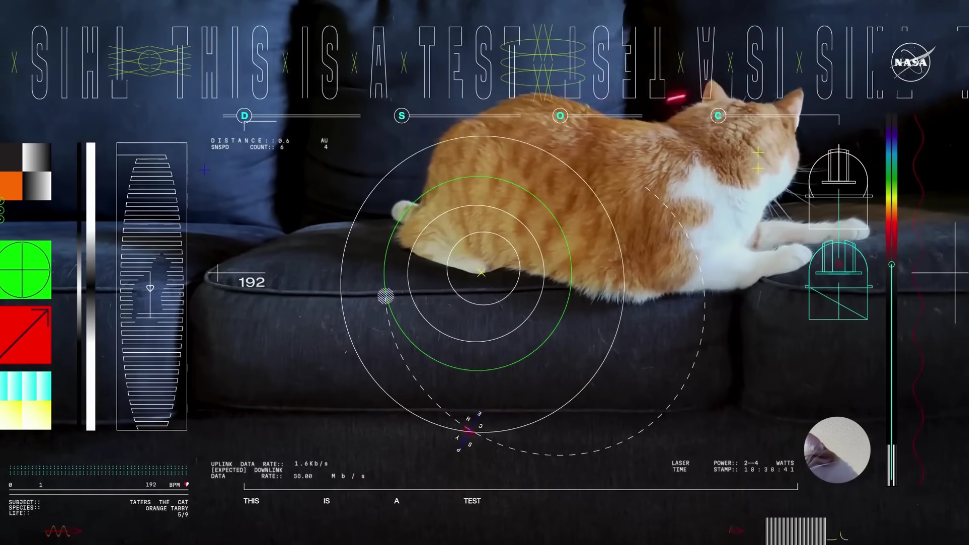 High-Resolution Cat Video Transmitted by NASA from Deep Space to Earth; Take a Look