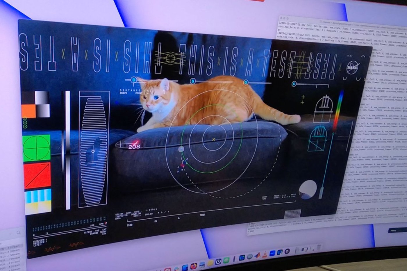 This Cat Traveled Over 30 Million Kilometers in Space Thanks to a NASA Laser